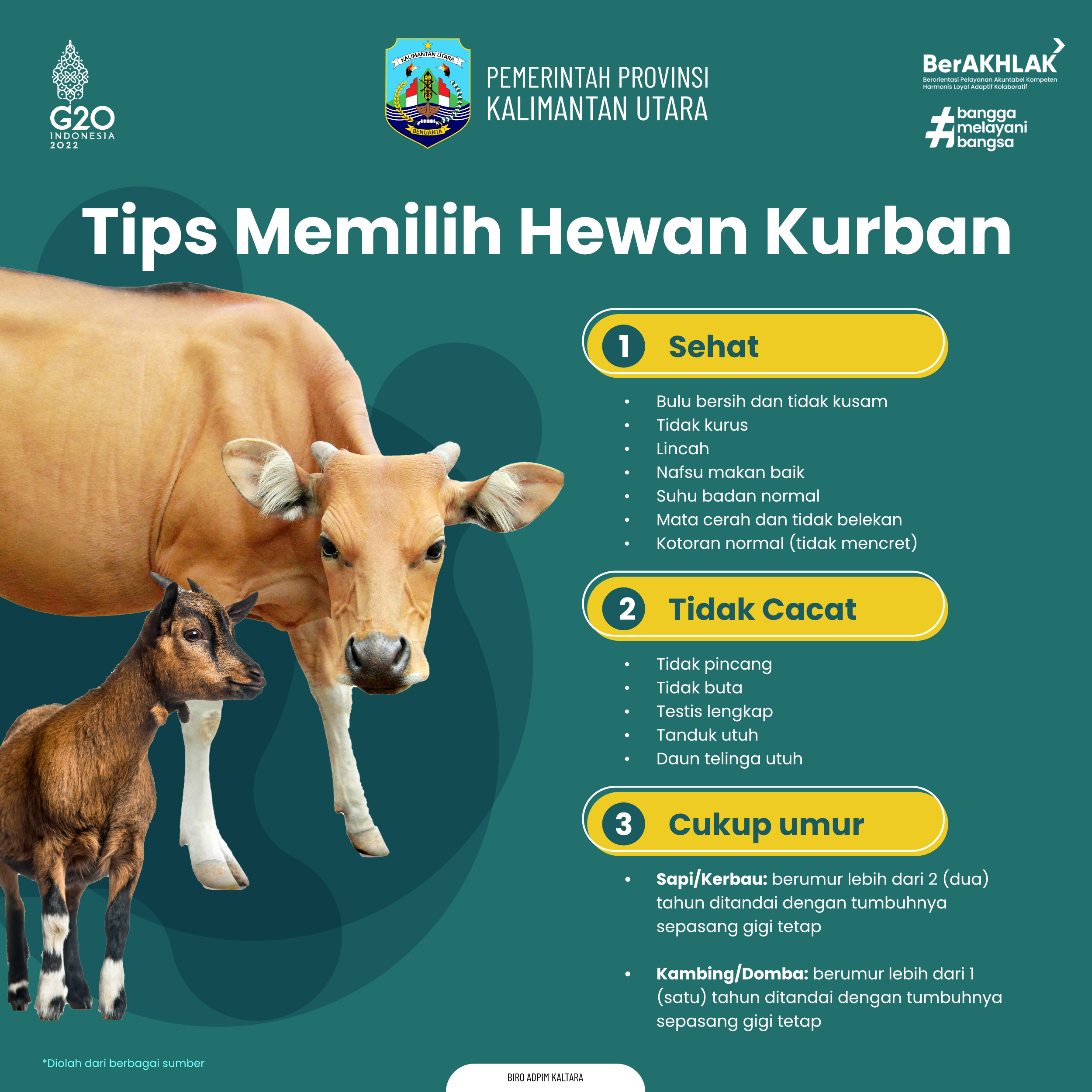 Tips Memilih Hewan Kurban