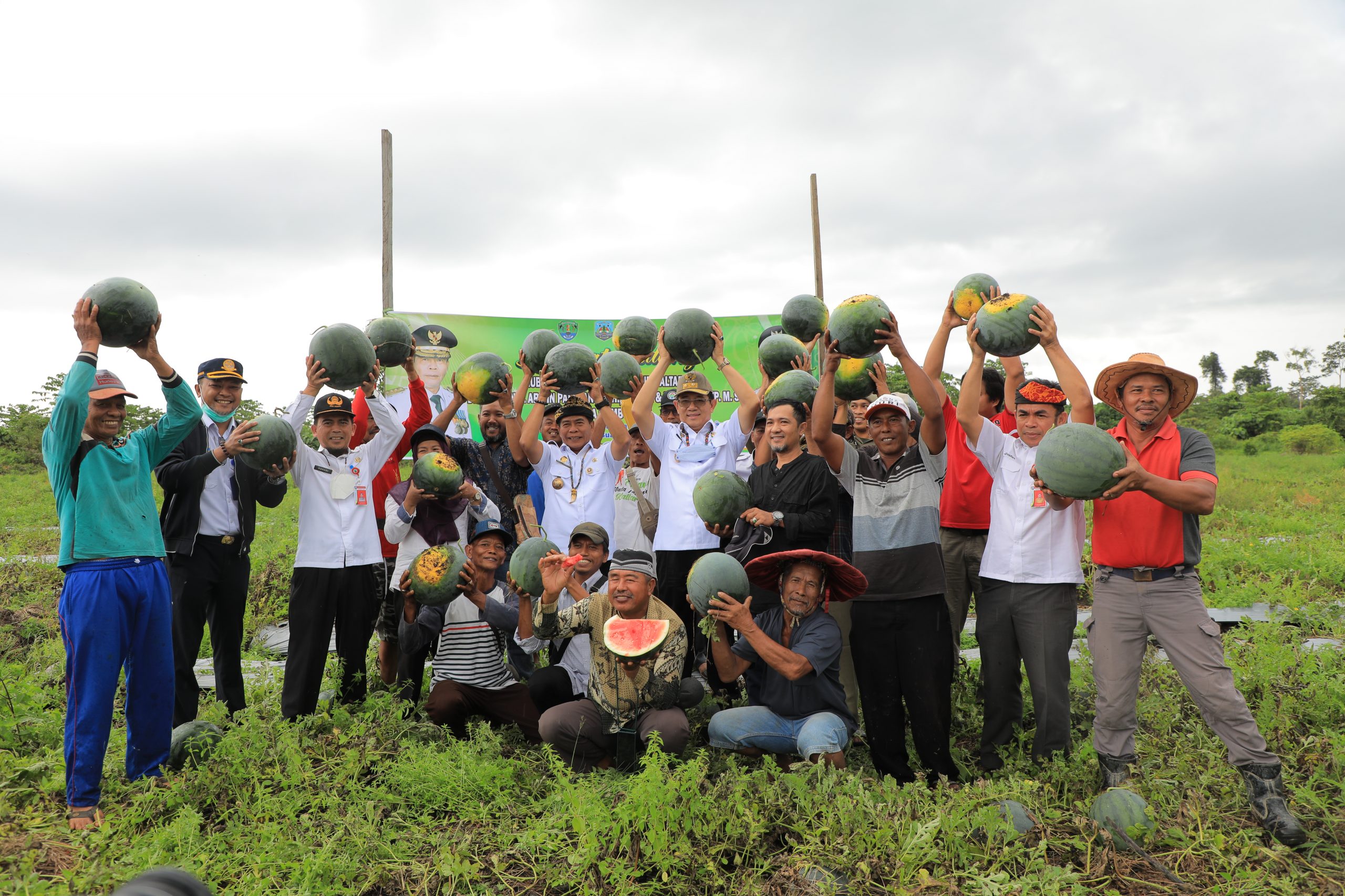 Kaltara Bisa Banjir Buah Semangka dari Produksi Lokal
