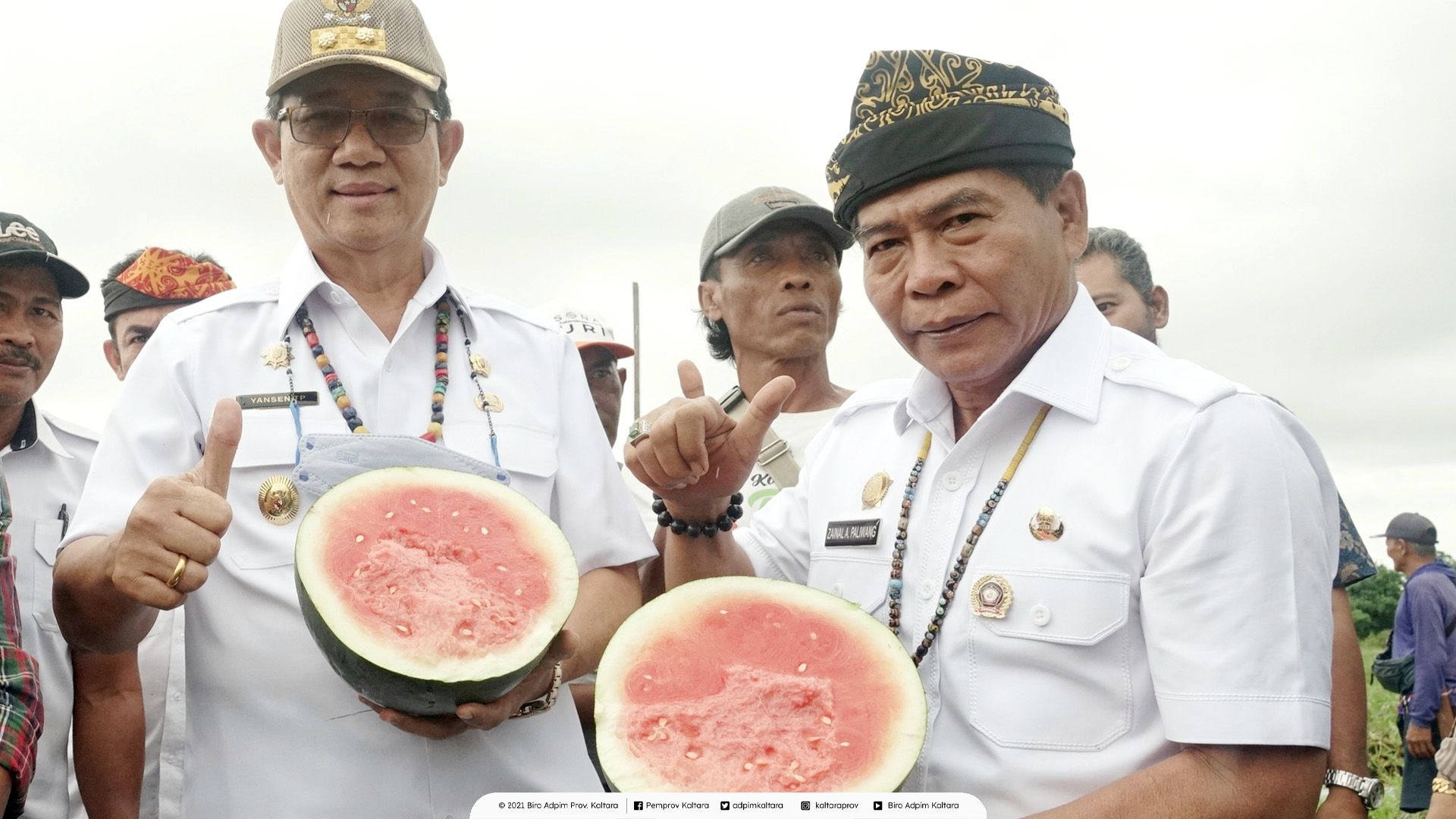 pertanian dan perkebunan di Kaltara tumbuh dengan subur