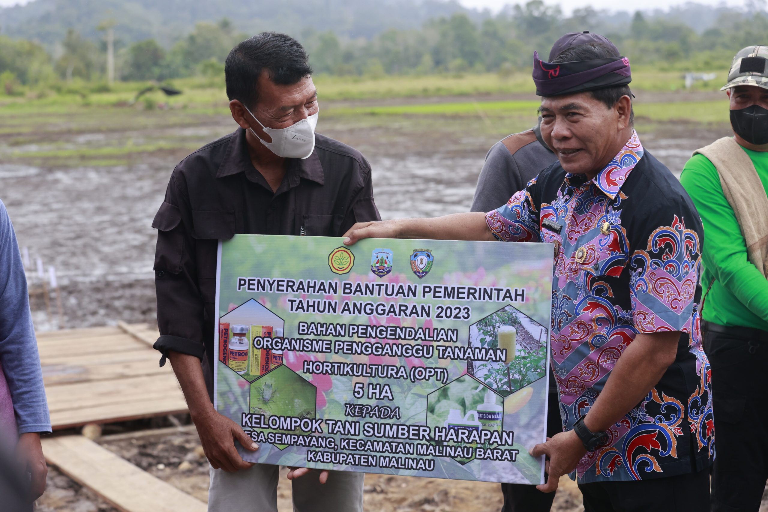 Pemprov: Swasembada Beras Dimulai dari Swasembada Benih