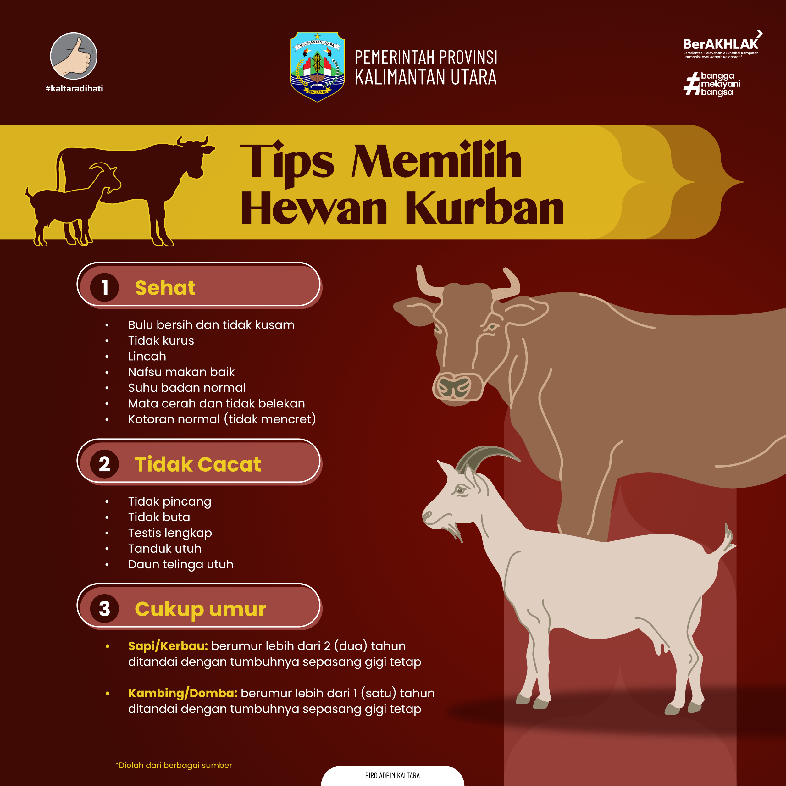 Tips Memilih Hewan Kurban