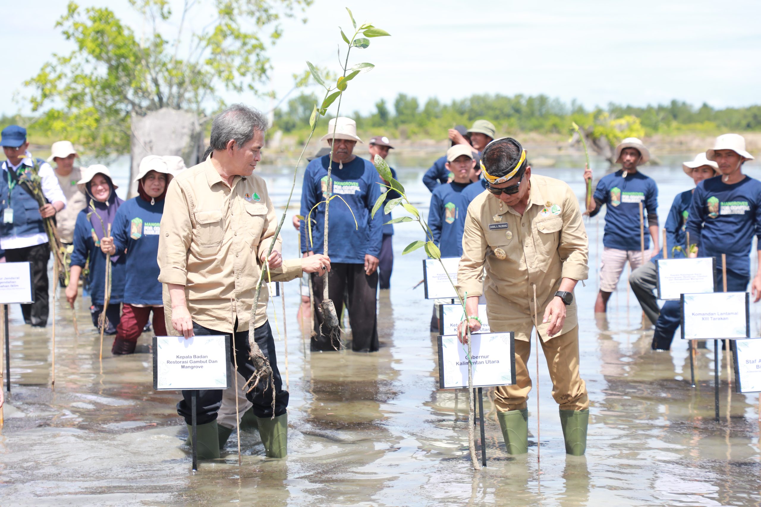 Kegiatan Penanaman Mangrove di Kabupaten Tana Tidung