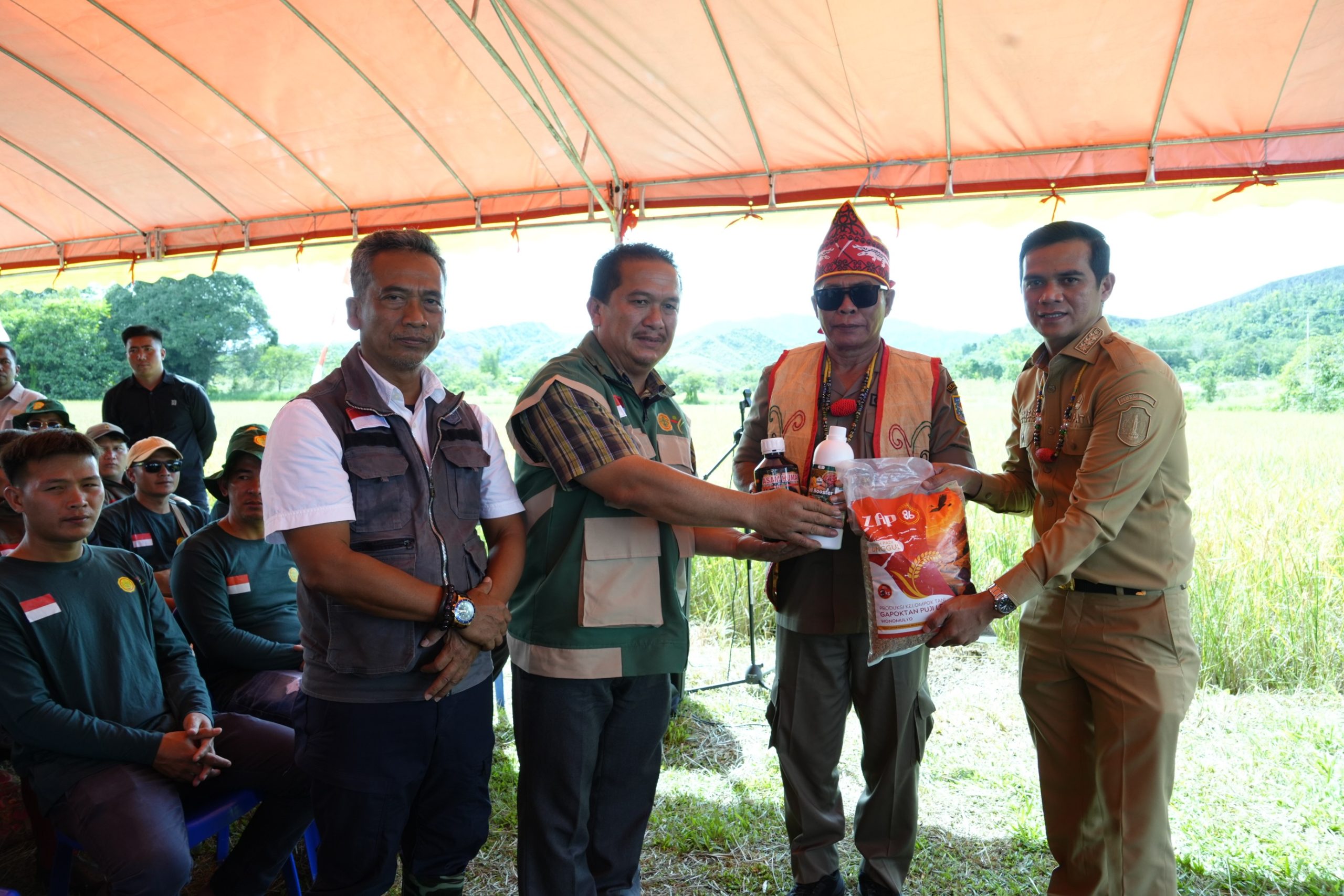 Padi Adan Krayan: Menjaga warisan organik dari beranda depan Negeri